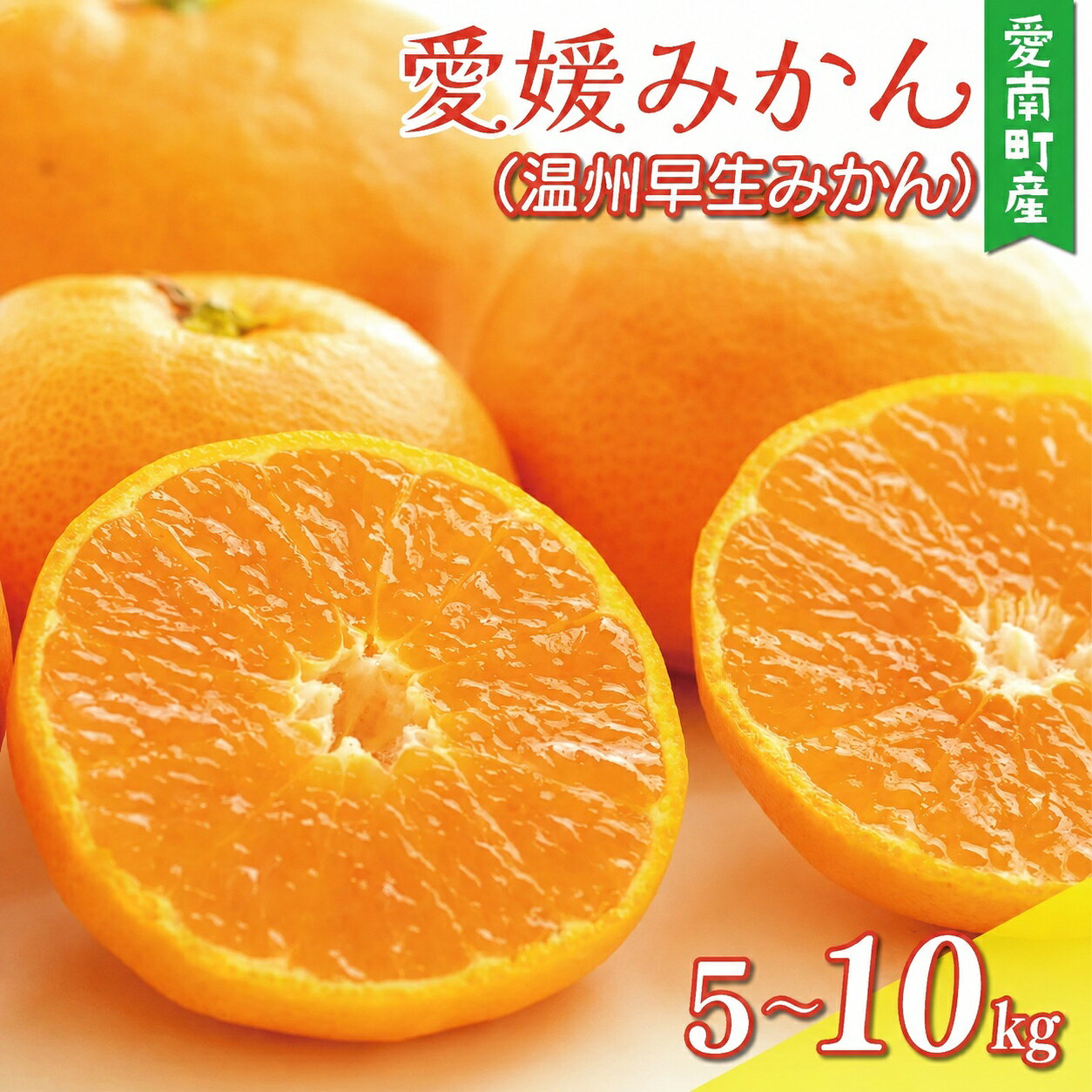 【ふるさと納税】 数量限定 先行予約 選べる 規格 内容量 愛媛みかん 5kg 10kg 訳あり 秀品 わけあり 温州みかん みかん mikan 蜜柑 ミカン 国産 期間限定 特産品 人気 限定 甘い フルーツ 果物 柑橘 おいしい 小玉 含む 渚のみかん園 愛南町 愛媛県