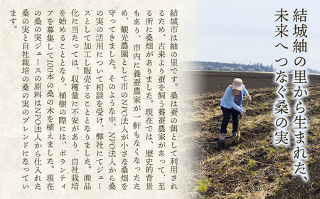 無加糖桑の実ジュース「結の桑」 360g×2本（無加糖）株式会社モアビートプロモーション《30日以内に出荷予定(土日祝除く)》果汁飲料 マルベリー 100％ ストレートジュース 抗酸化作用 生活習慣病