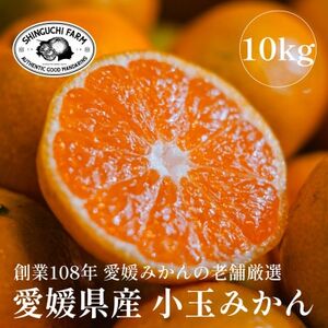愛媛みかんの老舗厳選【愛媛県産 小玉 みかん10kg】新口農園【E70-5】【1440741】