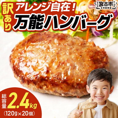 【ふるさと納税】【訳あり】万能ハンバーグ2.4kg(120g×20個)　冷凍のまま10分で焼ける【配送不可地域：離島】【1778293】