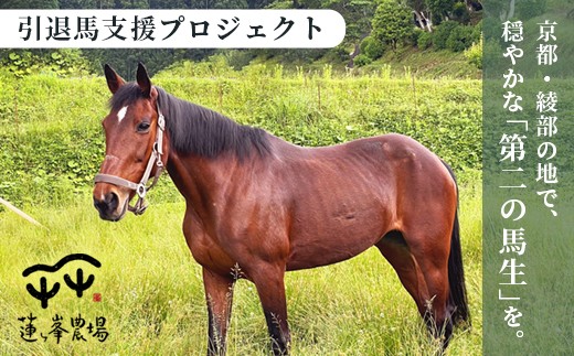 
                  引退馬 飼育支援：寄付金額3,000,000円（返礼品なし） | 命への恩返し。引退馬に、自然豊かな綾部で穏やかな余生を。綾部市　引退馬の余生を支える。蓮ヶ峰農場 飼育支援寄付
                
