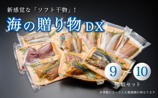 
干物 盛り合わせ 9～10種 豪華 季節 旬 ひもの 詰め合わせ セット 京都 舞鶴 海の贈り物DX おかず おつまみ
