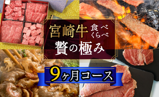 9回 定期便 宮崎牛 食べ比べ 贅の極み 9ヶ月 コース 合計 5.48kg [マルミヤストア 宮崎県 美郷町 31ag0086] 肉 牛 牛肉 焼肉 ステーキ 黒毛 和牛 国産 A4 A5