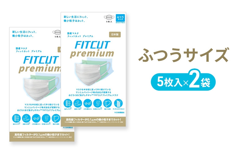 
                  [№5695-2240]FITCUT プレミアムマスク（国産）ふつうサイズ5枚袋×2 マスク 普通サイズ 不織布マスク 静岡県 島田市
                