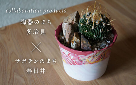 多治見市×春日井市コラボ 【美濃焼】 陶芸家「北川和喜」 marble 高台植木鉢 L × 【日本有数のサボテンの生産地】 春日井市の名店 後藤サボテン 【井澤コーポレーション】[TBP172]