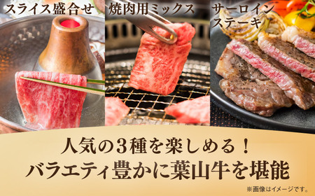 【隔月定期便全3回】葉山牛 まんぷく定期便(スライス盛合せ・焼肉用ミックス・サーロインステーキ)／牛肉 肉 焼肉 神奈川県 葉山町【葉山牛ステーキレストラン 角車】[ASBD060]
