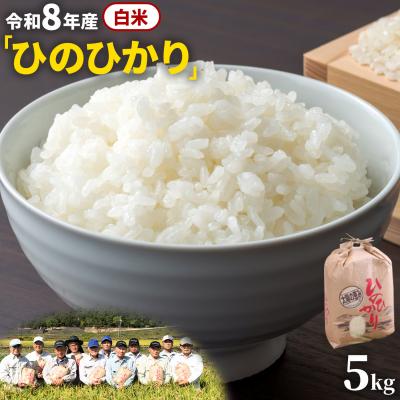 ふるさと納税 笠岡市 【令和8年産 先行受付】白米 ひのひかり 笠岡産 5kg太陽の恵み O-07_5k_白米