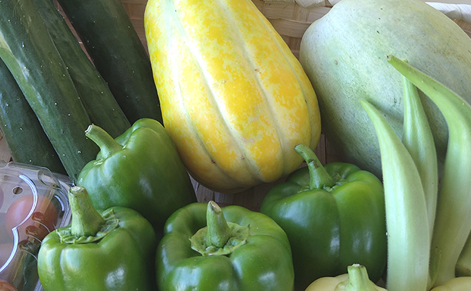 2ヶ月 定期便 瀬戸内「旬」のお野菜セット 7～11品目程度の詰合せ 野菜 農薬 化学肥料 除草剤不使用 岡山 M’s farm
