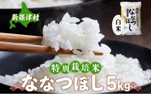 北海道 特別栽培 令和7年産 ななつぼし 5kg 精米 米 白米 お米 新米 ごはん ご飯 ライス 道産米 ブランド米 新しのつ米 ふっくら 食味ランキング  産地直送 お取り寄せ カワサキ森田屋 送料無料