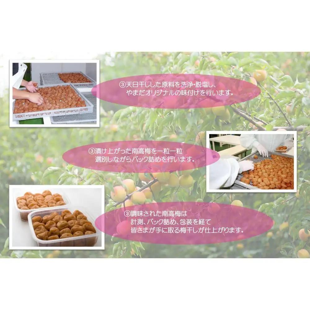 【定期便・2ヵ月毎 全5回】紀州南高梅 「花」 850g ［YM8］