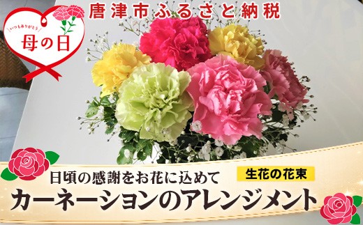 
                  母の日ギフト お母さんありがとう！カーネーションのアレンジメント お祝い 記念日 フラワーギフト「母の日」Hahanohi
                