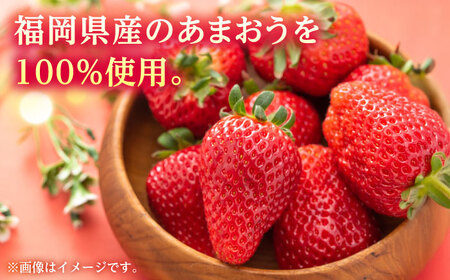 福岡県産 冷凍あまおう 500g（250g×2個）[ABEB025] いちご イチゴ 苺 果物 フルーツ [ABEB025] 