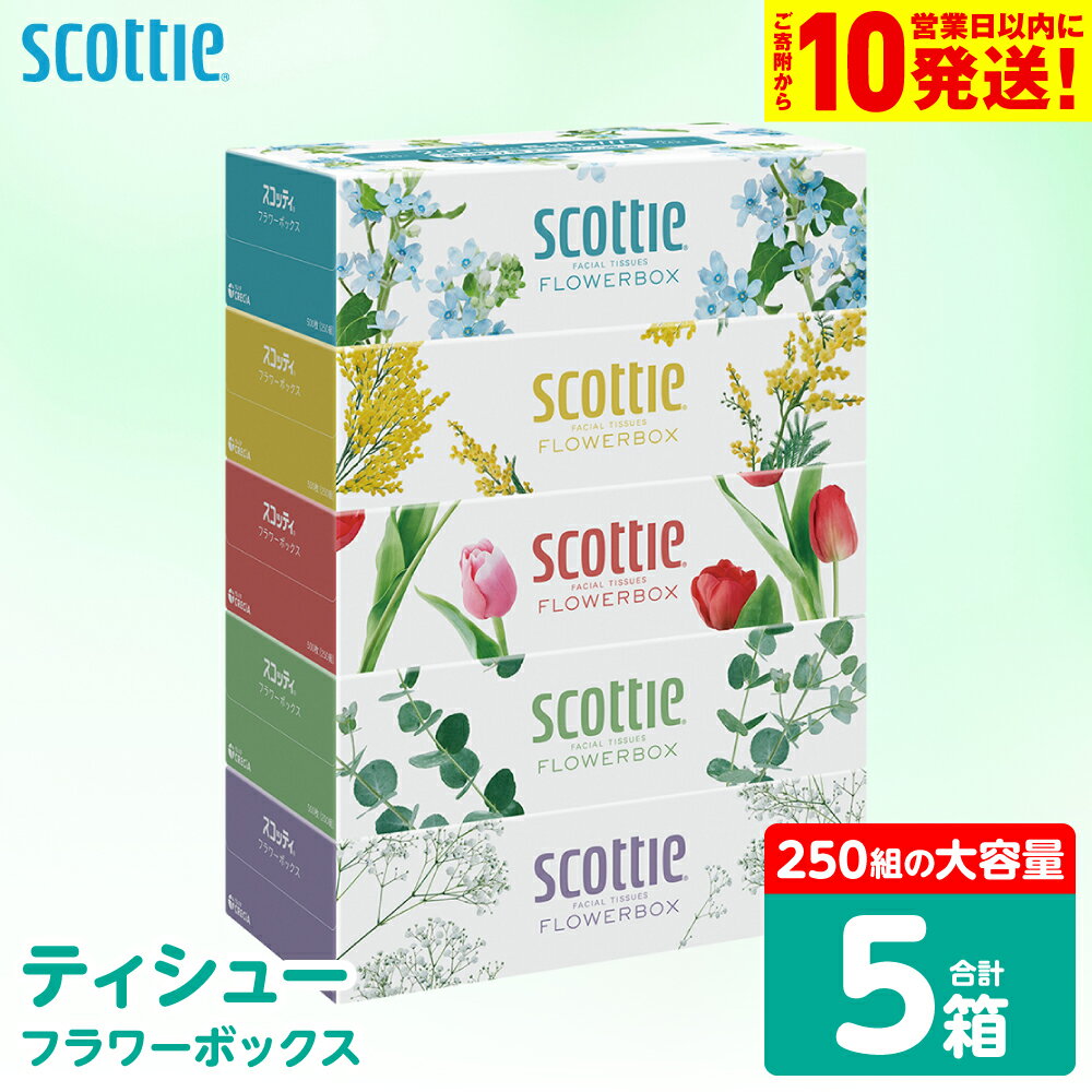 【ふるさと納税】【スコッティ】 ティシュー フラワーボックス 250組 5箱 ティッシュ 日用品 生活必需品 防災備蓄 ストック 備蓄 新生活 防災 消耗品 生活用品 日用消耗品 箱ティッシュ 送料無料