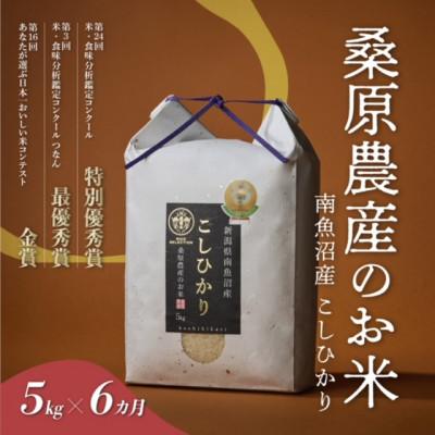 ふるさと納税 南魚沼市 【発送月固定定期便】最優秀賞受賞 南魚沼産コシヒカリ5kg(精米)全6回 | 