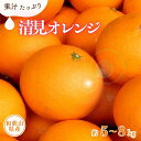 【ふるさと納税】 清見オレンジ 約5kg 約8kg (果実サイズおまかせ)　紀伊国屋文左衛門本舗【2025年2月中旬～4月下旬頃に発送予定】（お届け日指定不可）