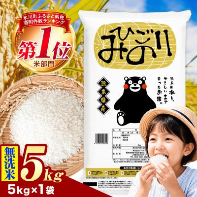 ふるさと納税 氷川町 ひごみのり 無洗米 熊本県産 ブレンド米 5kg《1-5日以内に出荷予定(土日祝除く)》