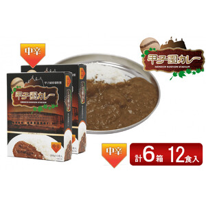 甲子園カレー＜中辛＞6箱セット12食入 【カレー】