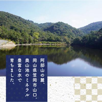 ふるさと納税 笠岡市 【令和8年産 先行受付】玄米 ひのひかり 笠岡産 60kg 太陽の恵み O-16a_60kg_玄米 |  | 01