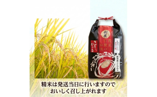 令和8年産　館林市産こしひかり精米5kg【1738443】