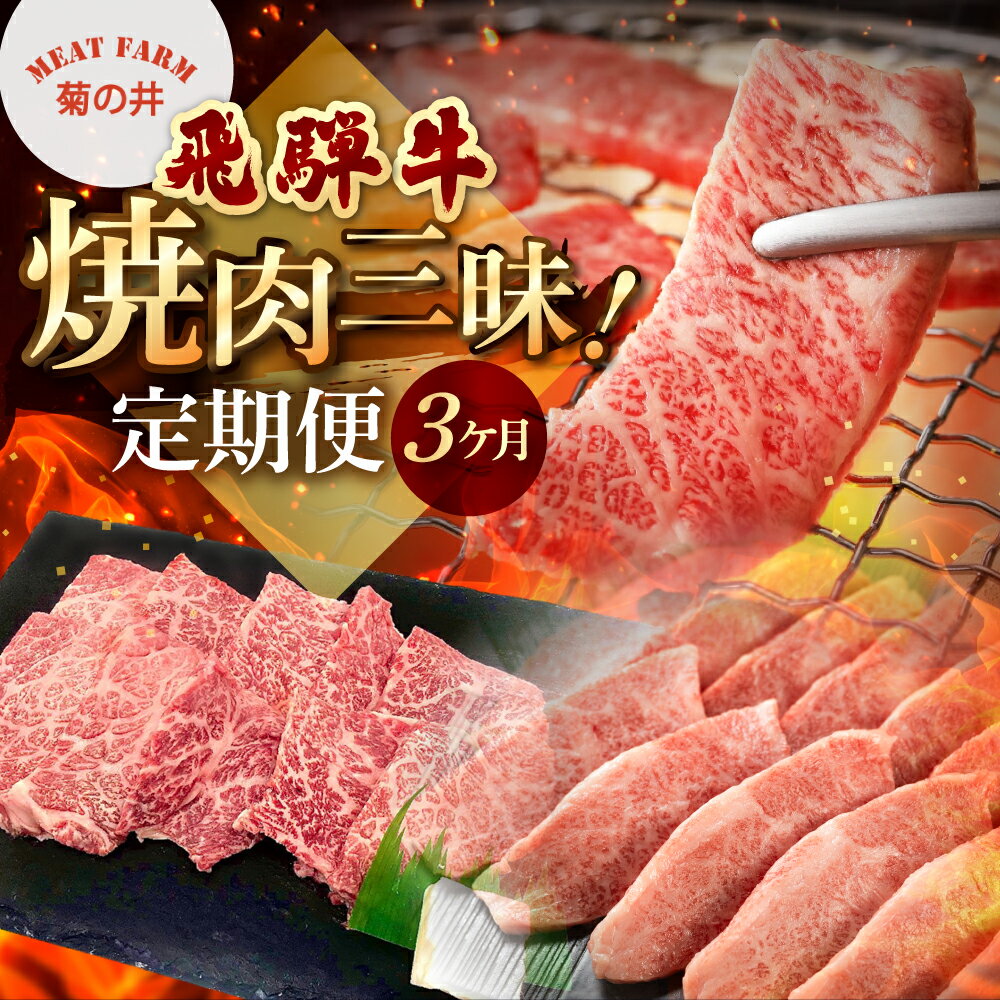 【ふるさと納税】飛騨牛焼肉三昧！3ヶ月 連続定期便（2～3人前）菊の井 焼肉 モモ イチボ カルビ 飛騨牛 牛肉 牛 飛騨 ブランド牛 国産 イチボ もも モモ カルビ 焼き肉 やきにく 赤身 霜降り 高級 食べ比べ【冷凍】 下呂温泉 飛騨 牛 定期便 岐阜県 下呂市