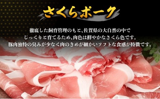 佐賀牛＆さくらポーク入り手作りハンバーグ 900g (90g×10個)　04bh-0005