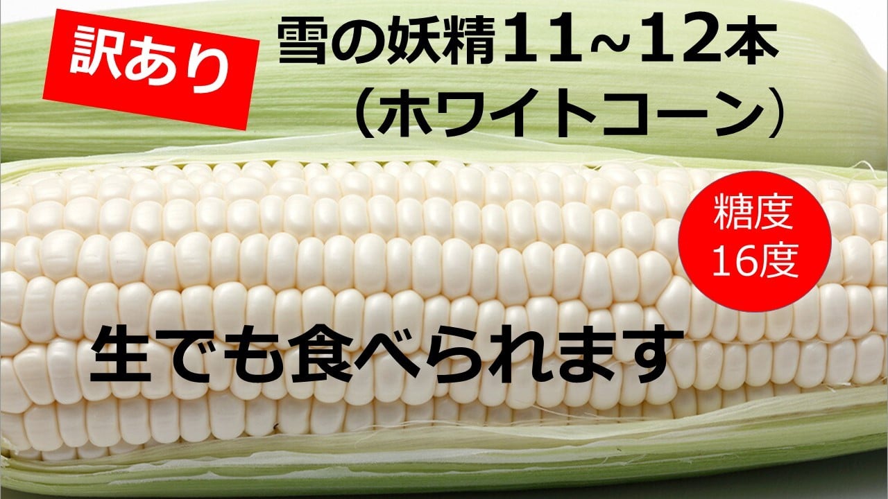 
                  訳あり 北海道 雪の妖精（ホワイトコーン）11～12本入り 約5キロ とうもろこし トウモロコシ 数量限定 期間限定 甘い 朝採り
                