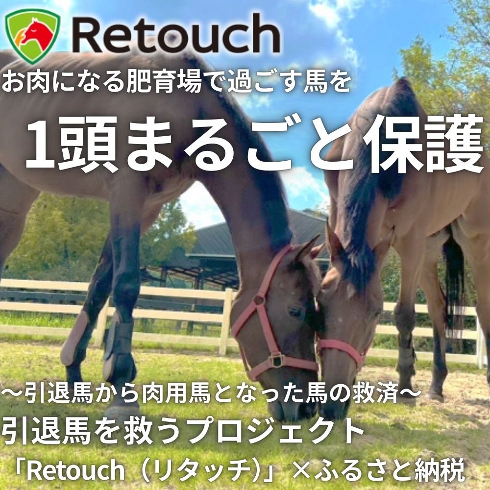 【ふるさと納税】引退馬を救い馬に会える～「Retouch（リタッチ）」支援～ふるさと納税限定　1頭まるごと保護