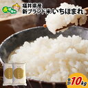 【ふるさと納税】令和6年度産 福井県産新ブランド米 いちほまれ 10kg（5kg×2袋） / 白米 精米 ご飯 ごはん