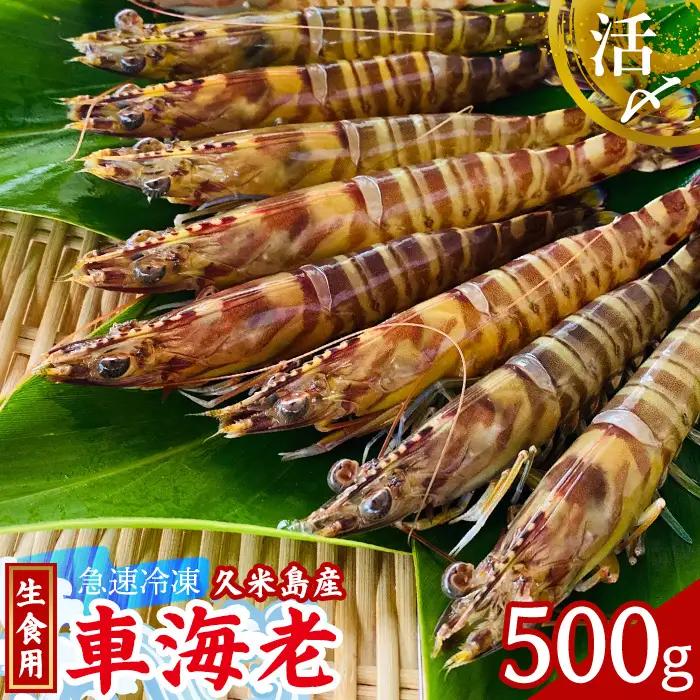 車海老【久米島漁協】活〆冷凍車海老　生食用500g  車えび 海鮮