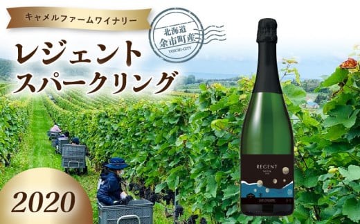
                  レジェントスパークリング2020＜キャメルファームワイナリー＞
                