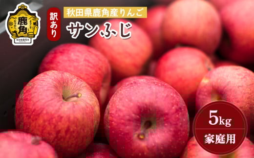 《先行予約》秋田県鹿角産りんご 雪国育ちの 訳あり「サンふじ」家庭用 5kg（14～23玉入）【山麓園】●2025年11月下旬発送開始 鹿角りんご 家庭用 食感 果汁 リンゴ 完熟 旬 県産 りんご お中元 お歳暮 贈り物 グルメ ギフト 故郷 秋田 あきた 鹿角市 鹿角 送料無料