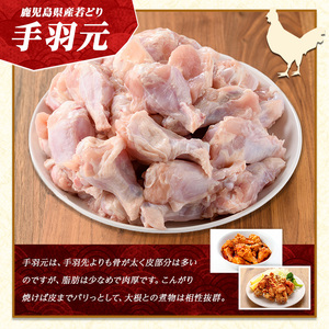 若どり手羽元(4kg)【まつぼっくり】matu-7205