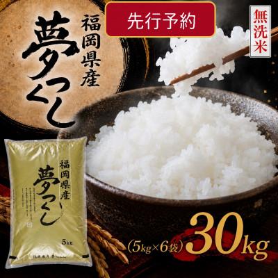 ふるさと納税 大刀洗町 《無洗米》【8年産　新米】9月〜発送【食味鑑定士厳選】福岡県夢つくし30k(5k×6袋)(大刀洗町)