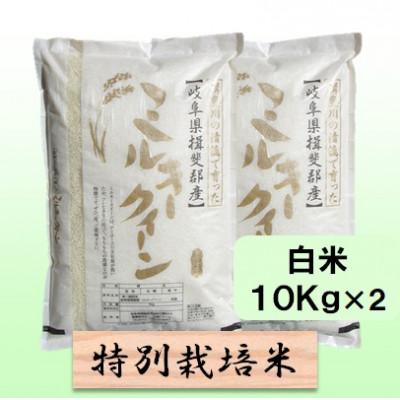 ふるさと納税 池田町 【令和6年産】特別栽培米 20kg【白米】(ミルキークイーン)