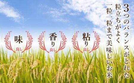 【先行予約】【定期便】 令和8年産 小松市産こしひかり 精米 5kg×12ヶ月（毎月）【JA小松市】
