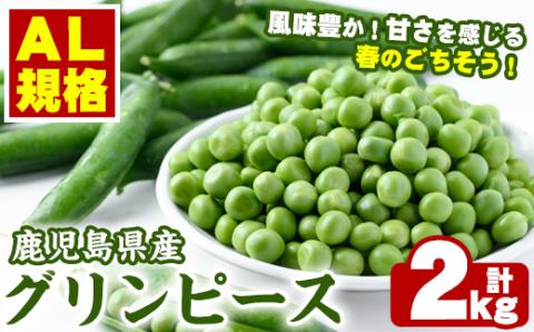 ＜2025年3月中旬以降順次発送予定＞AL規格の鹿児島県産グリーンピース(実えんどう)(計2kg) 国産 野菜 エンドウ 豆 セット 詰合せ 詰め合わせ 春 野菜 旬【鹿児島いずみ農業協同組合】a-13-44-z