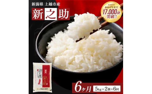 【令和8年産 先行予約】 新之助 無洗米 新潟県 上越産 10kg (5kg×2) 6か月 定期便 しんのすけ 五つ星お米マイスターのいるお店 お米 精米 米 ご飯 大黒屋商店