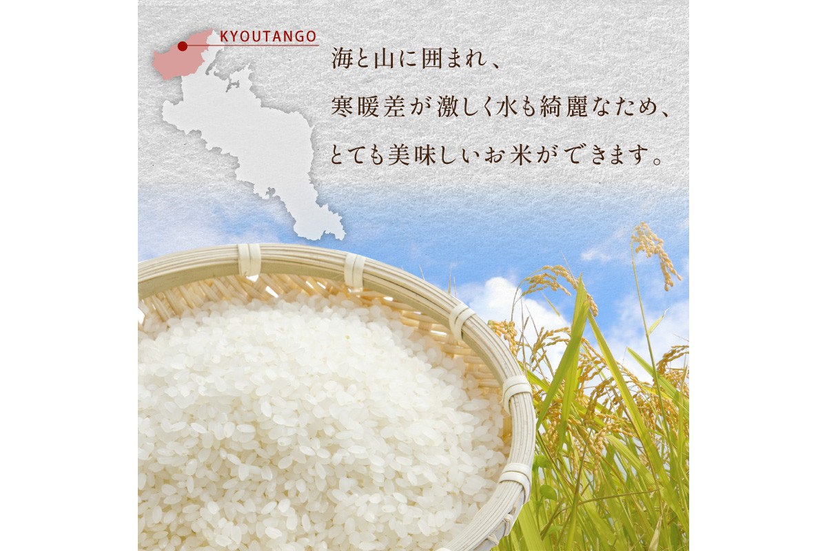 【3ヶ月定期便】2026年産 京都・京丹後峰山 特別栽培米コシヒカリ 5kg 【白米】 1等米 検査済証付　お米 精米 お弁当 おにぎり 京都府産 白米 特別栽培 一等米 ふるさと納税 米 定期便 生