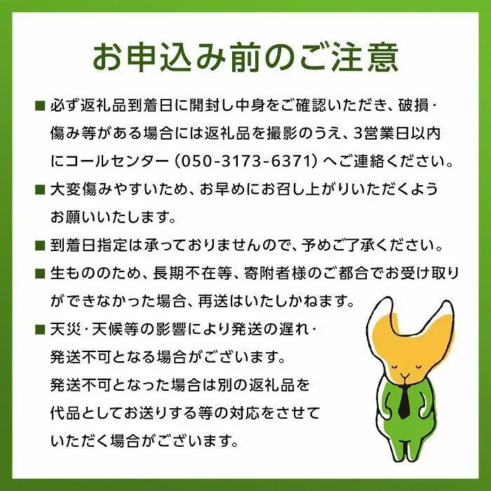 旬の梨 王秋 3kg 庄内梨 大塚梨園＜2026年10月下旬以降発送＞