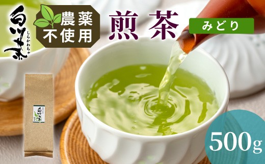 
                  農薬不使用！煎茶 みどり 500g 常磐園 白川茶 美濃白川茶 日本茶 緑茶 煎茶 茶葉 お茶 一番茶 春摘み リーフ 国産 お試し 岐阜県 東白川村
                