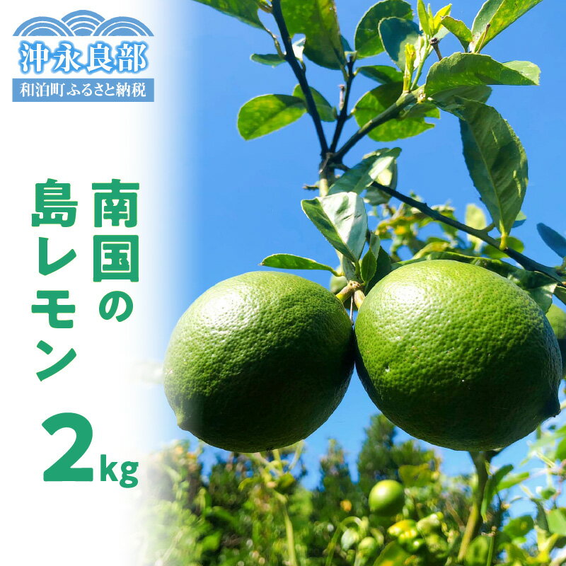 【ふるさと納税】【先行受付】 南国の島レモン 2kg 【2025年9月～2026年2月下旬】 栽培期間中 農薬 除草剤 不使用 レモン 島レモン れもん 檸檬 フルーツ 果物 すっぱい おいしい 美味しい すっきり 国産 沖田農園 鹿児島 和泊町 おすすめ ランキング プレゼント ギフト