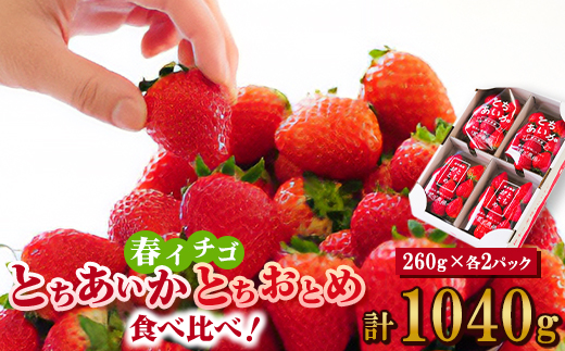 
            いちご生産量日本一栃木産　春イチゴ『とちおとめ』『とちあいか』 (260g×4パック)食べ比べセット_ いちご 苺 とちおとめ とちあいか セット 食べ比べ 人気 おすすめ 送料無料 贈答 ギフト 栃木 佐野 冷蔵 春いちご 【1489767】
          
