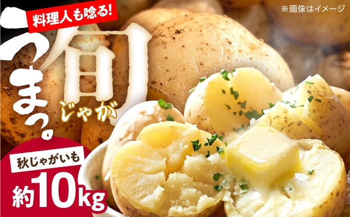 【2026年12月～発送】じゃがいも 約10kg 馬鈴薯 秋じゃが / ジャガイモ ばれいしょ 野菜 やさい 芋 / 南島原市 / 株式会社松尾青果[SGU004]