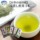 【ふるさと納税】 お茶の池田園 深蒸し煎茶100g×5本【熊本県宇土市】