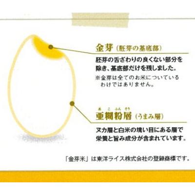 ふるさと納税 安来市 BG無洗米　金芽米きぬむすめ 5kg |  | 02