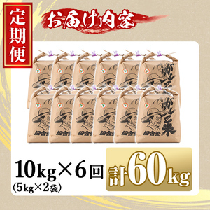 【F7031】＜令和7年産 先行予約！＞《定期便・全6回》田舎塾特別栽培米「がんこ米ゆめぴりか」(10kg×6回・計60kg) 【2025年10月中旬以降順次発送】 米 お米 白米 北海道産 北海道米