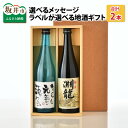 【ふるさと納税】ご家族やご友人、お世話になった方へ。選べるラベル 『地酒ギフト』＆生原酒限定品 神力『淵龍』 (720ml × 2本)【飲み比べ セット 詰合せ 地酒 日本酒 辛口 お酒 酒 ギフト 贈り物 贈答 父の日】