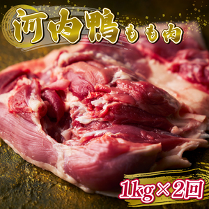 定期便2ヶ月 河内鴨 もも肉 1kg スライス ギフト プレゼント 贈答品 贈答用 お取り寄せ 贈り物 鴨 かも カモ 鴨肉 かも肉 カモ肉 肉 鶏肉 河内鴨 もも肉 美味しい 贈答 お祝い 内祝い 鴨鍋 お鍋 しゃぶしゃぶ すき焼き もも肉 鶏肉 最高級 大阪府 松原市