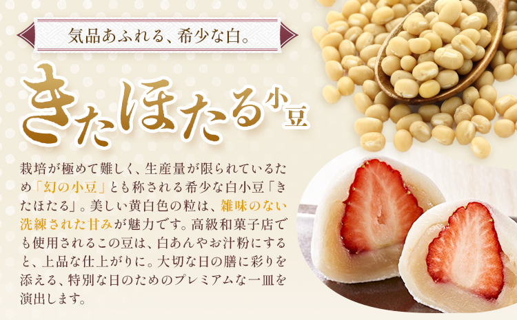 十勝とよころの小豆 きたほたる小豆 白小豆 3.2kg 山本農場《30日以内に出荷予定(土日祝除く)》北海道 十勝 豊頃町 特産 農家直送 とよころ あずき しょうず まめ 豆 白あん---toyok
