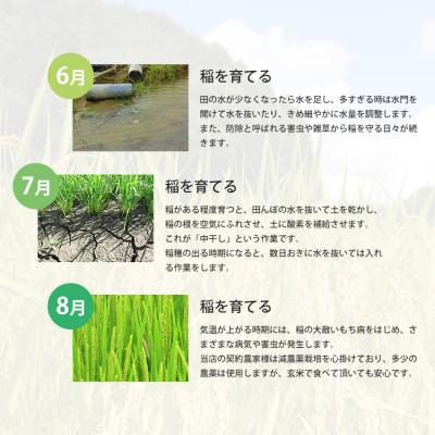 ふるさと納税 早島町 令和7年産 あけぼの 岡山県産 5kg(5kg×1) 新米 白米 |  | 02